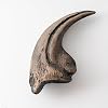 Fossil Tooth and Claws Various Prehistoric Dinosaurs, Megalodon Shark Tooth, Faithful Replica Yellow Alosaurus Claws