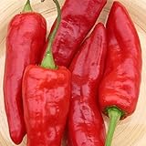 David's Garden Seeds Pepper Specialty Sweet Marconi Red 8722 (Red) 25 Non-GMO, Heirloom Seeds