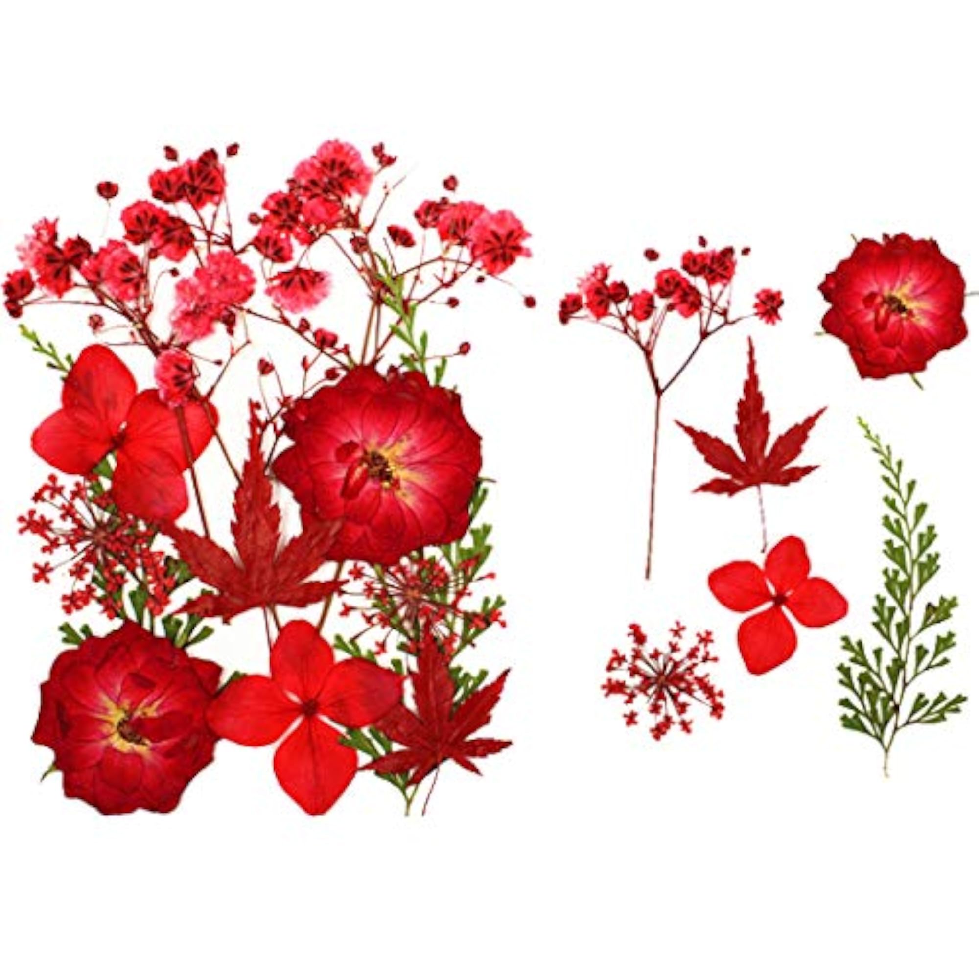 12PCS Real Dried Flower Decorative Set
