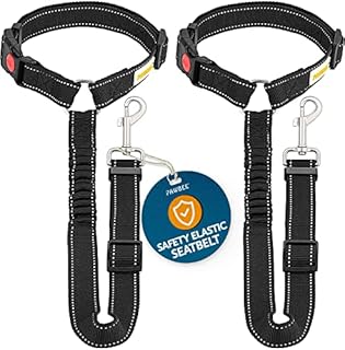 PAWBEE Dog Car Headrest Seatbelts  2 Pack Durable Nylon Dog Seat Belts, with Reflective Elastic Bungee for Safety - Adjustable Dog Seatbelt Fits All Your Cars & Pets  Ideal As Pet Seatbelt + Leash