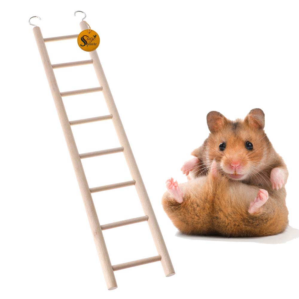 See full amazon price history chart for Sage Square Playful Natural Wooden Climbing Ladder Toy for Exercise & Fun || with Hooks || for Hamsters, Sugar Glider, Dwarf, Rat, Mice, Gerbil || 8 Stairs / 38cm Sage Square Playful Natural Wooden Climbing Ladder Toy for Exercise & Fun || with Hooks || for Hamsters, Sugar Glider, Dwarf, Rat, Mice, Gerbil || 8 Stairs / 38cm (B08KGJX64F) Amazon Price History, Amazon Price Tracker