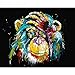 Produktbild AFFE DIY Malen Nach Zahlen Tiere Malerei Kalligraphie Acrylfarbe Nach Zahlen Für Wohnkultur Kunstwerke,WithoutFrame,60 * 75cm