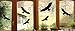 Mabi-IN-Design 6 Vogel Aufkleber - Vögel Fenster Glas Greifvogel Fensterbild - Verschiedene Größen B368 (schwarz)