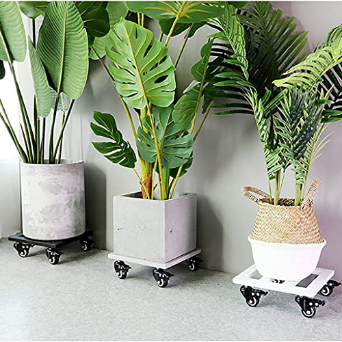 Support de plante à roues pour déplacer vos pots sur la terrasse