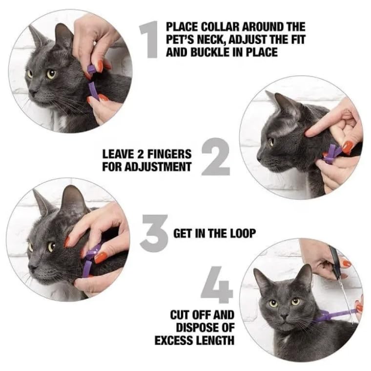 Calming Collar for Cats, Long-Lasting Pheromone Collar Helps for 60 Days, Designed to Reduce Stress and Anxiety, Helps Cats and Kittens Calm, Loud Noises, and Separation, 2 Count - image 7