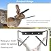 DMERHAC Rabbit Dislocator Skinning & Dispatch Tool Set – Processing Dispatcher, Neck Wringer, Cervical Dislocation, Hopper Popper. Used for Handling Small Animals Such as Rabbits and Squirrels.