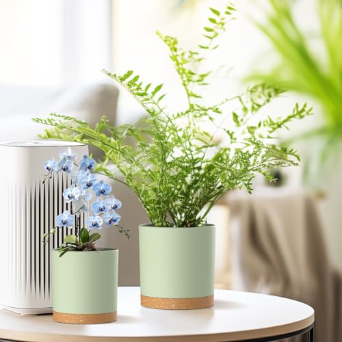 Homeuouz-5-Packs-Blumentopf-mit-Untersetzer-17815214127102cm-Pflanzentopf-Plastik-Ubertopf-Hydrokultur-Topf-Blumentopfe-Set-Ideal-fur-Innen-und-Balkongarten-Grun-mit-braunes-Tablett | Dealmeister.io Alt tag für bilder post titel