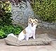 Elegant Hundekissen Maxy, Hell Grau, 60x100cm