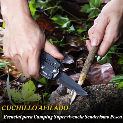 Miniatura 4 de 