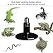 WUHOSTAM 250W Ceramic Heat Lamp,Infrared Bulb Emitter Lamp for Pet Coop Heater Reptile Chicken Lizard Turtle Brooder Bulb No Harm No Light - 24hr Heat Source - 1 Pack