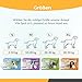Animal Vita® Spot On Zeckenschutz für Hunde [zuverlässiger Zeckenschutz] Zeckenmittel für Hunde -Zeckenschutz Hund - Spot On für große Hunde (20 bis 30kg)