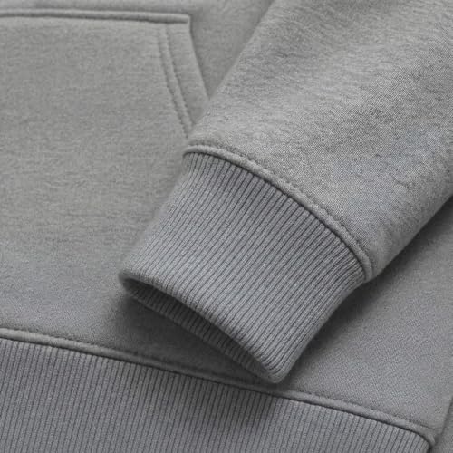 Tstars Funny Dogs Lover Hoodie for Women - Gift for Pet Owners - Leave Me Alone I'm Only Talking to My Dog Pullover Large Gray