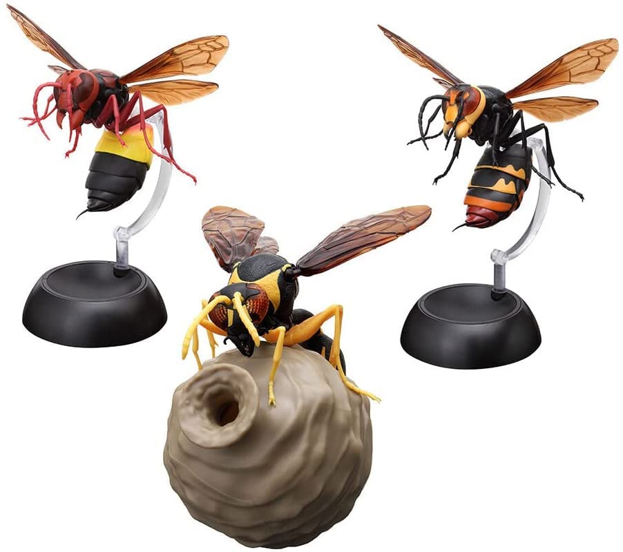 クリオネラスカル 落書きの翼足類 (@rakugaki_clione) / X