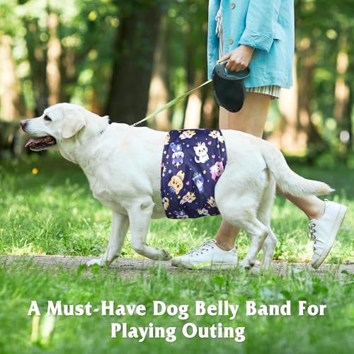 Image of 5 Pack Washable Diapers for Male Dogs, Belly Bands for Male Dogs, High Absorbing Male Dog Pee Wraps for Doggie in Incontinence or Excitable Urination and Training, L