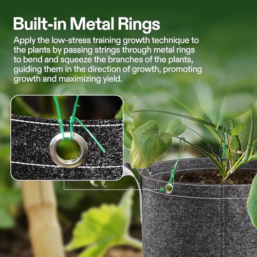 Image of VIVOSUN 10-Pack 15 Gallon Grow Bags, 500G Thick Nonwoven Fabric Pots with Strap Handles, Multi-Purpose Rings, for Low Stress Plant Training Fruits, Vegetables, and Flowers