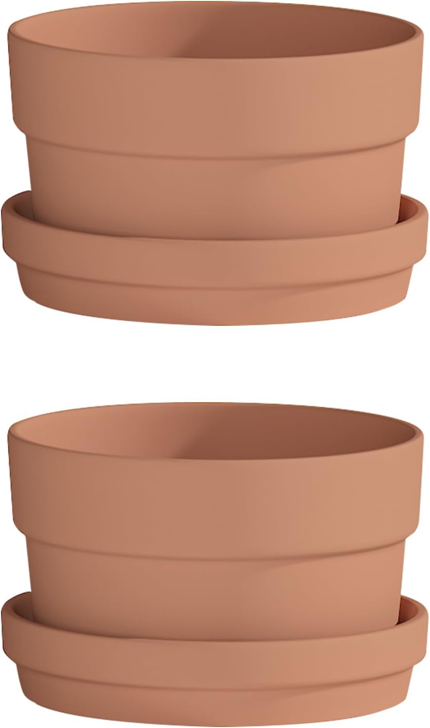 Fcacti 7 Inch Terracotta Shallow Succulent Pot with Saucer/Tray - 2 Pack Large Terra Cotta Clay Pots with Drainage Hole, Round Shallow Terra-Cotta Bonsai Pot for Indoor/Outdoor Plants