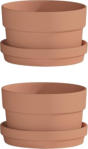 Fcacti Maceta de terracota poco profunda de 3.5 pulgadas, paquete de 12 macetas pequeñas de arcilla terracota con platillo, macetas de terracota