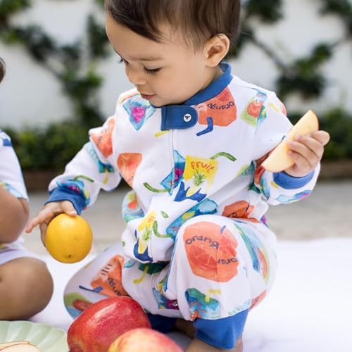 Image of Burt's Bees Baby unisex-baby Sleep & Play, Organic One-piece Romper-jumpsuit Pj, Zip Front Footed Pajama