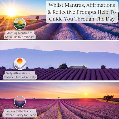 Lavender Stress Balls for Adults | Aroma Infused for Anxiety and Stress Relief | Enhance Mindfulness & Focus | Tri-Strength Physical Therapy Hand Grip Exercise and Calming Sensory Fidget Tool - Image 5