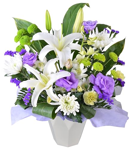 Ԃ̃Mtg     Ȃ   ފ ~  