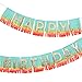 Meri Meri Rainbow Happy Birthday Fringe Garland (Pack of 1)