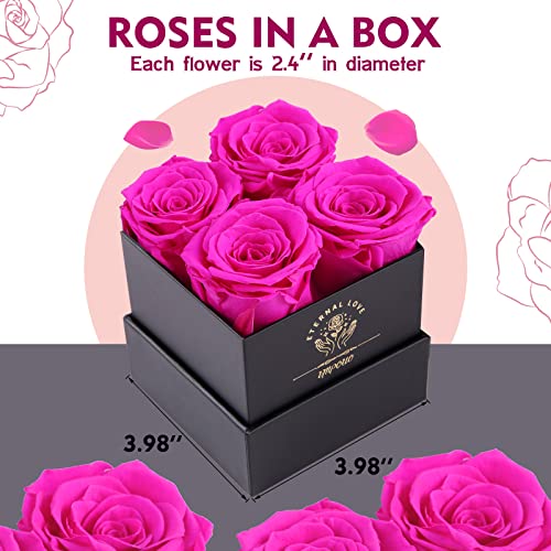Impouo Geconserveerde roos, cadeaus voor haar, verjaardagscadeaus voor vrouwen, cadeaus voor mama, vriendin, vrouw, oma, Kerstmis, verjaardag, Valentijnsdag - Image 5