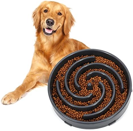 Slow Feeder Bowl for Small Medium Large Dog Maze Dog Food Water Bowl Anti-Slip Puzzle Bowl No Chocking Healthy Interactive Bloat Stop Pet Bowl Dish by WHIPPY