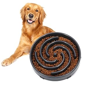 Slow Feeder Large Dog Bowl – Maze Puzzle Bowl for Medium to Large Dogs – Non Slip, Interactive, Bloat Stop, Healthy Feeding Dish – Gray