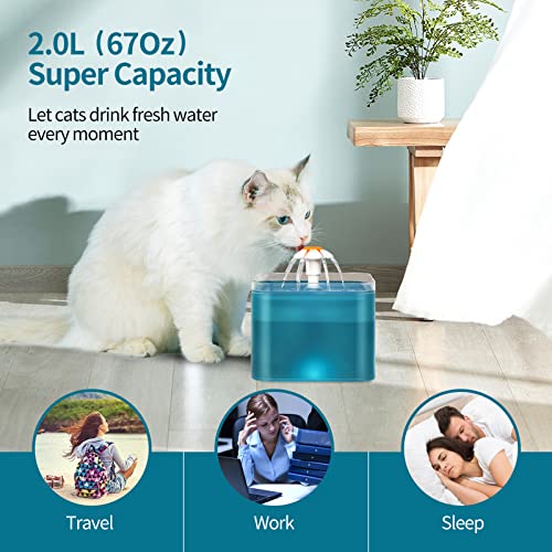 Fuente de Agua Automática para Gatos 2L Azul miniatura 4