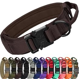 Joytale Tactical Dog Collar for Medium Dogs, Traffic Control Handle, Brown