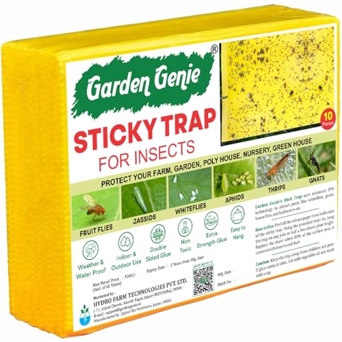 Image of Garden Genie Yellow Sticky Trap for Insects 10 Traps (150x200mm) | Double Sided Glue /Fly /Insect Catcher /Sticky Pads for Flying Insects, Thrips, White Flies Etc | Suitable for Gardens & Farms