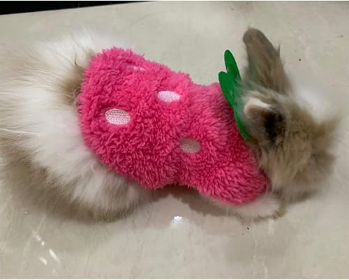 Miniatura 6 de ANIAC Disfraz de conejito de indias caliente ropa suave conejo chaleco acogedor camiseta para gatito hurón chihuahua cachorro mini perro y animales