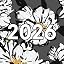 Baccara Dark- 2026