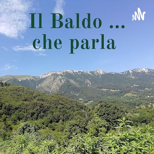 Couverture de Il Baldo che parla