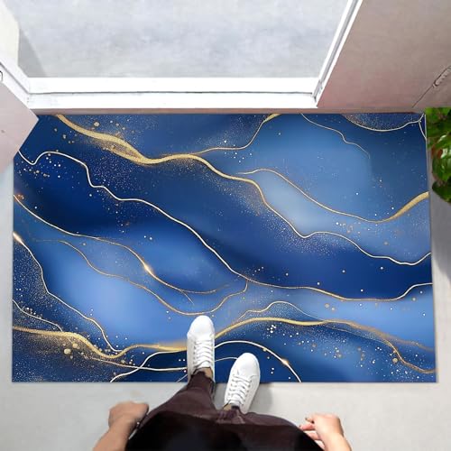Tapis d'entrée microfibres absorbantes pour chien et intérieur propre 50x80 - 5