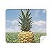 Fresh Tropical Fruit Pineapple Picture Cleaning Cloth Screen Cleaner 2pcs Suede Fabric