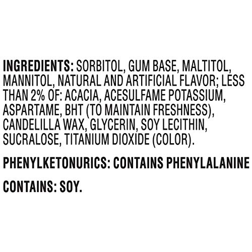 Dentyne Ice Peppermint Sugar Free Gum, 3 Packs Of 16 Pieces (48 Total Pieces) #TOP6