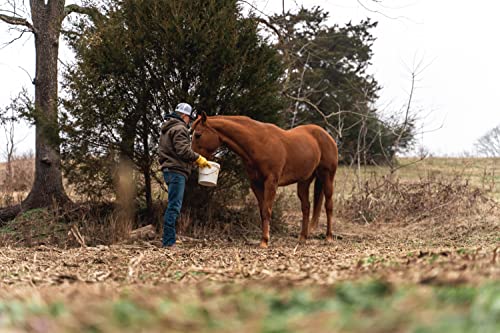 Kinco, 90-2-XL, Soft Golden Grain Deerskin Leather Work Glove, Extra Large