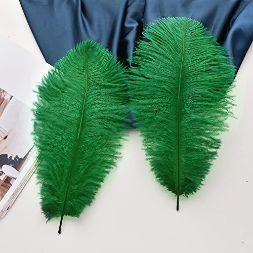 Ballinger Green Ostrich Feathers Bulk - 24pcs 10-12inch Feathers for Vase, Wedding Party Centerpieces Mardi Gras Decorations and Home Decor - Thumbnail 4