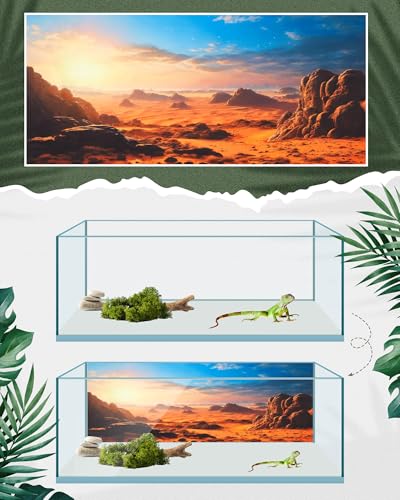 Image of Breling 4 Pcs 71 x 18 Inch Reptile Habitat Background with Nano Glue Gobi Sun Cactus Stone and Green Tree Fern Stream Terrarium Background Polyester Durable Aquarium Accessories