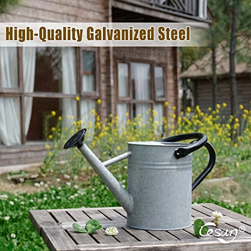 image for Cesun Metal Watering Can 1 Gallon for Outdoors Plants, Galvanized Stee