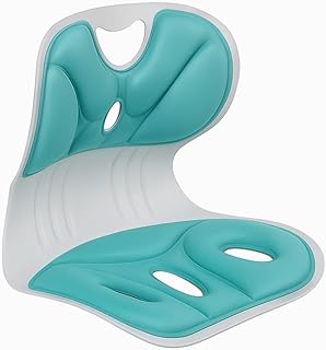 Lower Back Support Chair Posture Corrector for Kids & Adults - Ergonomic Cushion for Floor Seats & Office - Multicolor - Orthopedic Body Positioner with Lumbar Support