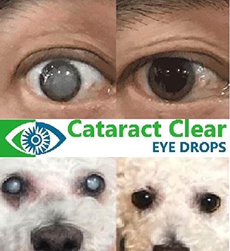 clarifye eye drops for dogs