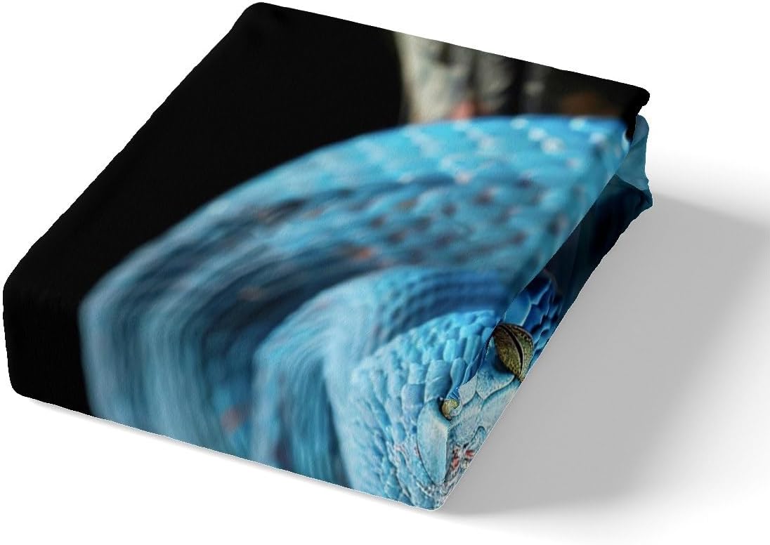 Blue Snake Bedding Set Twin Size 3D Snake Printed Bed Set for Girls Teens Bedroom Decor Kids Exotic Wild Animal Fitted Sheet Microfiber Reptile Tropical Theme Bed Cover(1 Fitted Sheet+1 Pillow Case)