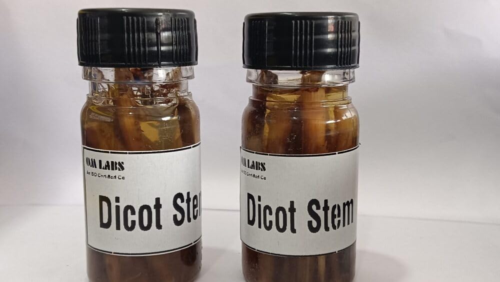 Dicot Stem Working Bottle Set Of 2 Pcs Brand OM Labs-image-41