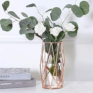 Geometric Glass Flower Vase Metal Holder, Crystal Clear Transparent Planter Flowers Vase,Handcrafted Plating Metal Vase,Clear Vase Decorative for Home Office Wedding Holiday Party Celebrate(22cm×13cm)