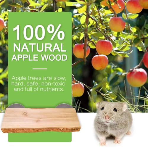 Image of 2Pcs Hamster Ledges Wooden Platform 2.6 x 6 Inch Rat Climb Platform Shelf Bird Perch Stand Toys Cage Accessories for Rat Gerbil Suger Glider
