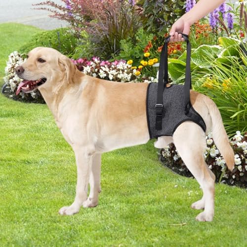 Generic ^pT|[gXOBUɌ둫グ̂ɖ𗧂܂B, S