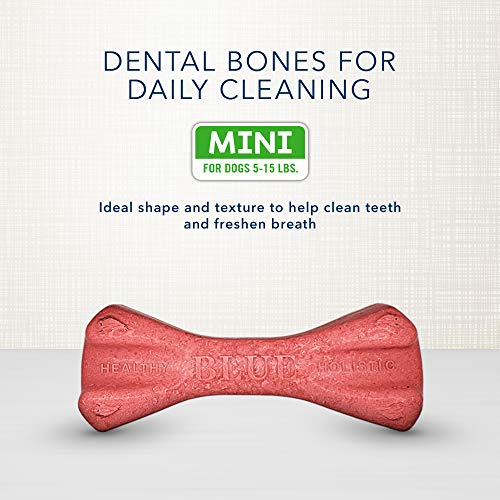 Blue Buffalo Dental Bones Mini Natural Dental Chew Dog Treats, (5-15 Lbs) 27-Oz Bag Value Pack #TOP2