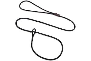 Mendota Pet Show Loop Leash